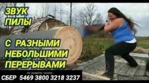 Звук пилы для шумных соседей на 12 часов