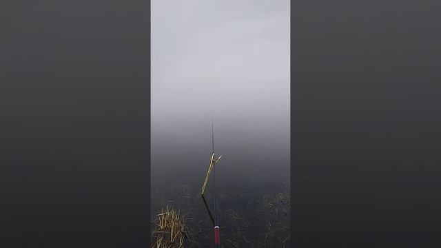 Бешеный клёв плотвы. смотреть онлайн