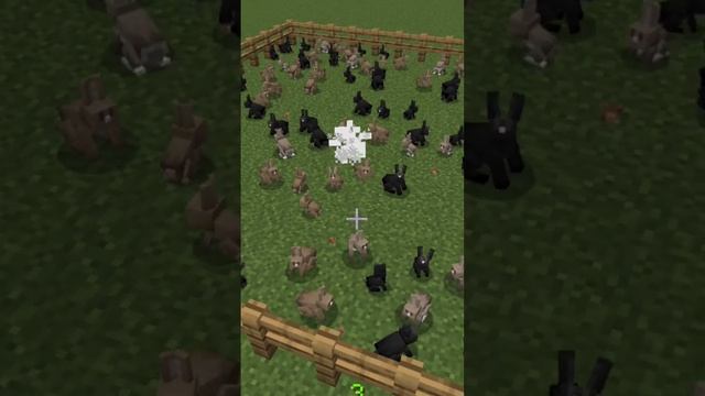 Project Homeland Guns Addon #shorts #minecraft #minecraftaddon #minecraftshorts смотреть онлайн