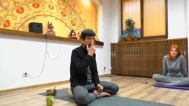 Йога для начинающих: эффективные шаги. Основы медитации смотреть онлайн