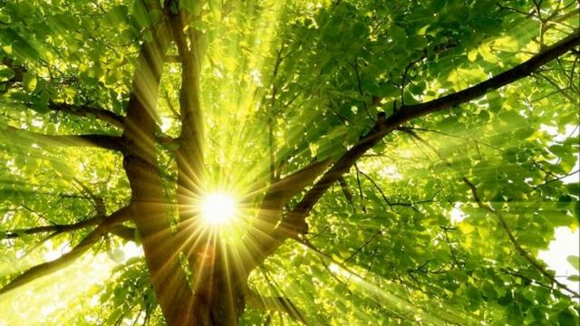 Единое сознание. Медитация. смотреть онлайн