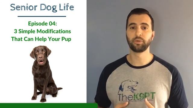 Senior Dog Life: 3 Simple Modifications That Can Help Your Senior Pup (Episode 04) смотреть онлайн