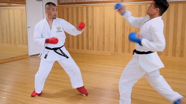 Karate Kumite Mawashigeri Kick Counters смотреть онлайн