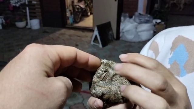 30 сентября 2023 г. смотреть онлайн