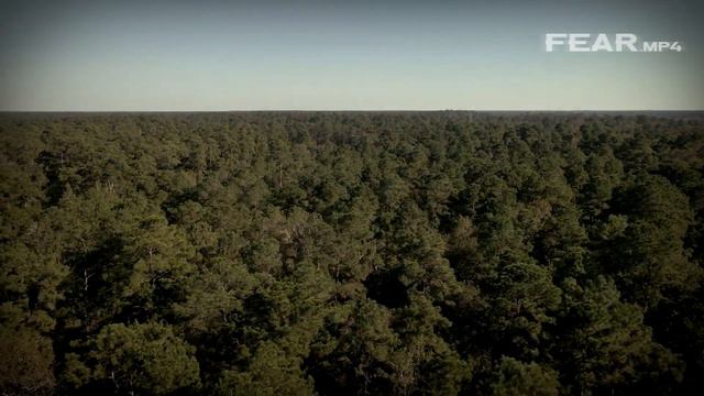 Исчезла во время жуткого звонка в 911. Загадочное исчезновение Лорен Томпсон смотреть онлайн