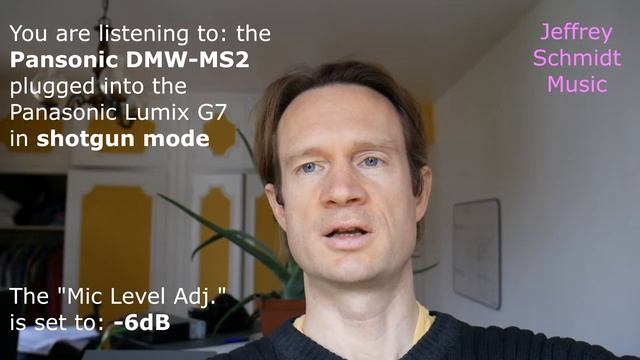 Testing the Panasonic DMW MS2 microphone in selfie mode смотреть онлайн