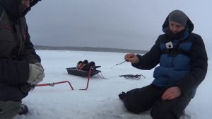 Ловля окуня зимой на Финском заливе