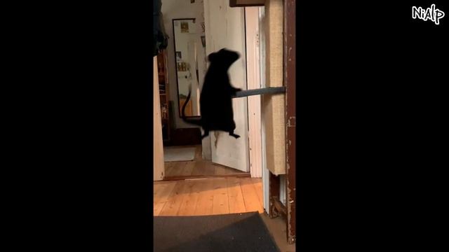 587 СЕКУНД СМЕХА | ПОПРОБУЙ НЕ ЗАСМЕЯТЬСЯ | ЛУЧШИЕ ПРИКОЛЫ смотреть онлайн