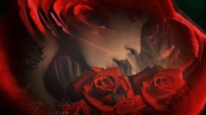 Алые розы зачем вы такие красивые