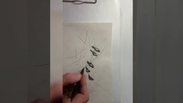 Как нарисовать ворон смотреть онлайн