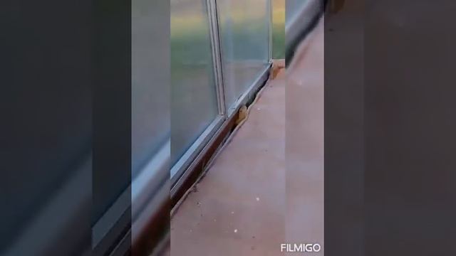 Бассейн в теплице!! Конструкция фундамента для теплицы. смотреть онлайн