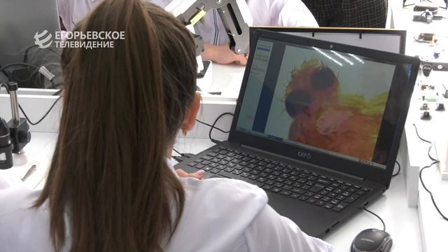 Подведены итоги 2022 года в сфере образования нашего округа смотреть онлайн