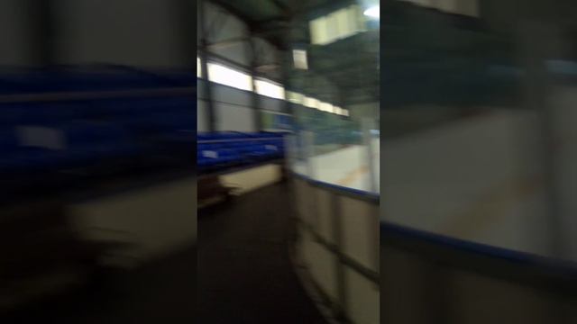 Винегрет Роман Соколов. Ледовый дворец спорта