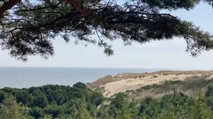 ПРОНИК ДО КОНЦА, НО УСПЕЛ ВЫТАЩИТЬ. Истории из жизни. Аудио рассказы, измена жены в браке