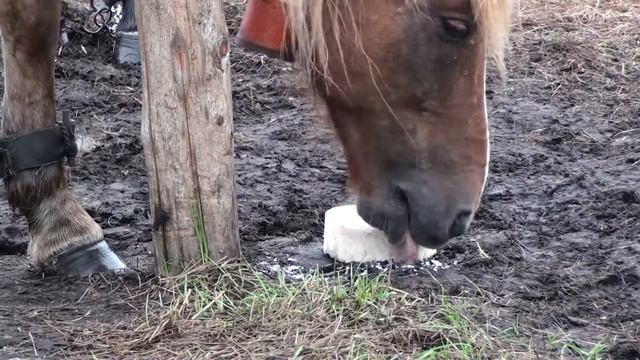 Маректа смотреть онлайн