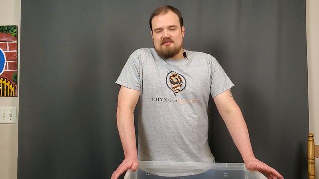 This is How You SHOULD Setup your Ball Python Enclosure in 2023! смотреть онлайн