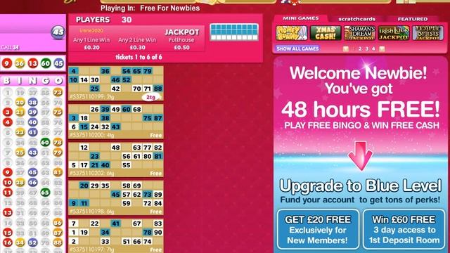 Polo Bingo // Playing Free Bingo Games For Fun! смотреть онлайн