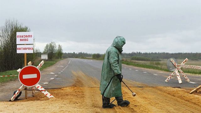 В Саратовской области выявили вспышку африканской чумы свиней смотреть онлайн