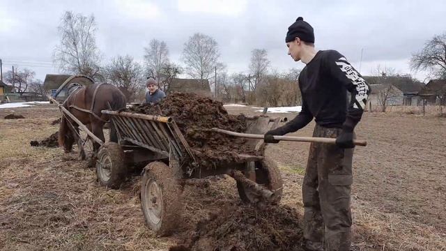 #ЛОШАДИ#ВНЕСЕНИЕ ОРГАНИКИ# ПОД КАРТОФЕЛЬ#СОВЕТСКИЙ ТЯЖЕЛОВОЗ# КРАСАВЧИК НА РАЗВОЗКЕ ГНОЯ# смотреть онлайн
