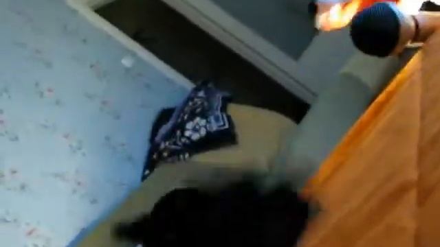 Поющая овца смотреть онлайн