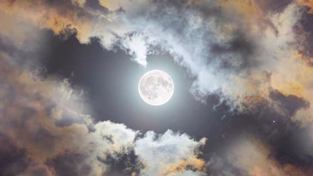 BGM 1 HOUR Relaxing music with beautiful moonlight | 放松音乐 钢琴 催眠 放松解压 月光 帮助睡眠 背景音乐 一小时 смотреть онлайн