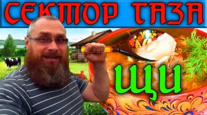 Очень ПРОСТАЯ ПЕСНЯ на трёх блатных аккордах/РАЗБОР НА БАЯНЕ песни "ЩИ"/Am, Dm, E - проще уже некуда