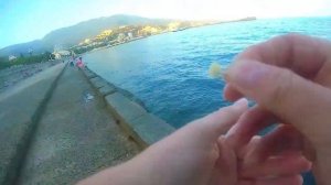 Рыбалка на кефаль.Ловля кефали с берега в черном море в Крыму.