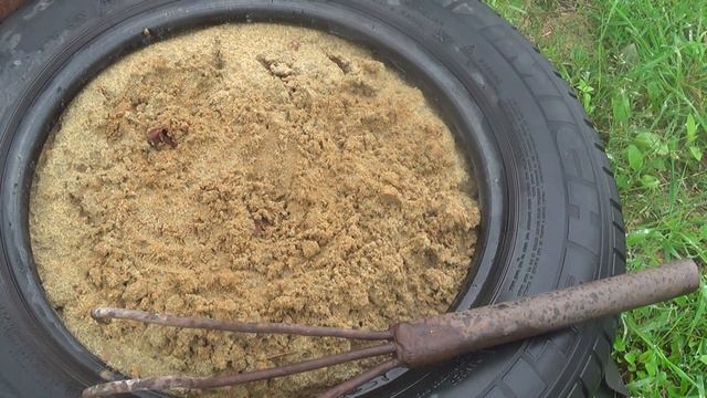 Гладиолусы растут не по дням, а по часам смотреть онлайн
