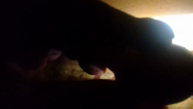 ПРОСВЕЧИВАНИЕ КУРИНЫХ ЯИЦ.10 ДНЕЙ смотреть онлайн