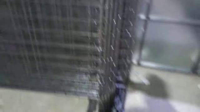 Металлические ограждения сетчатые для улицы смотреть онлайн