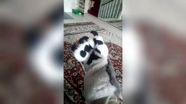 Процесс и обзор фурсьюта смотреть онлайн