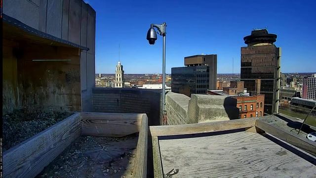 Camera 4 - 03/07/21 смотреть онлайн