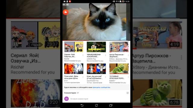 Музыка Киса киса мяу мяу киса киса мур мур