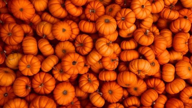 Польза Тыквы | В чем секрет тыквы ? смотреть онлайн