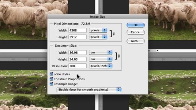 How To Resize Images In Photoshop Without Losing Quality смотреть онлайн