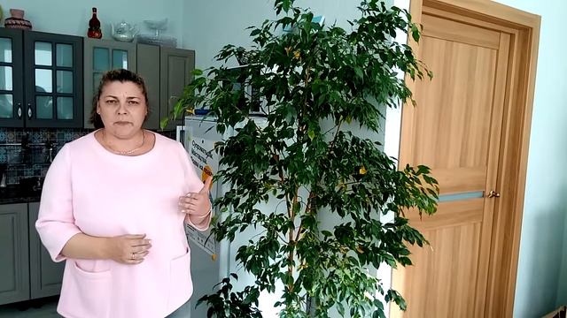 Чем является хоспис для родителей подопечных и для сотрудников смотреть онлайн