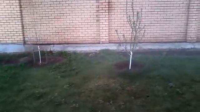 Учебник Ремонта