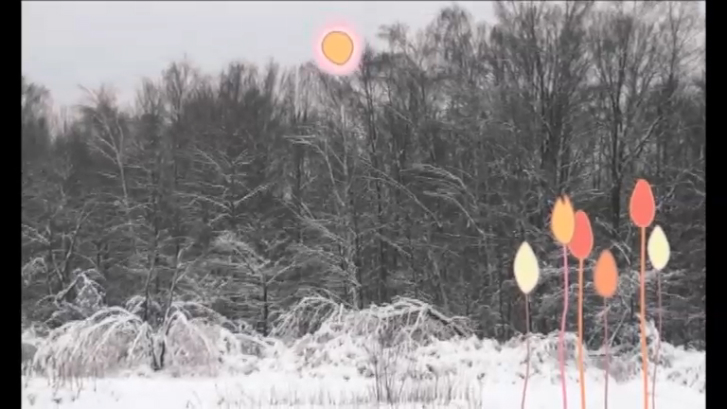 Winter Sun Project - Looking For Sun