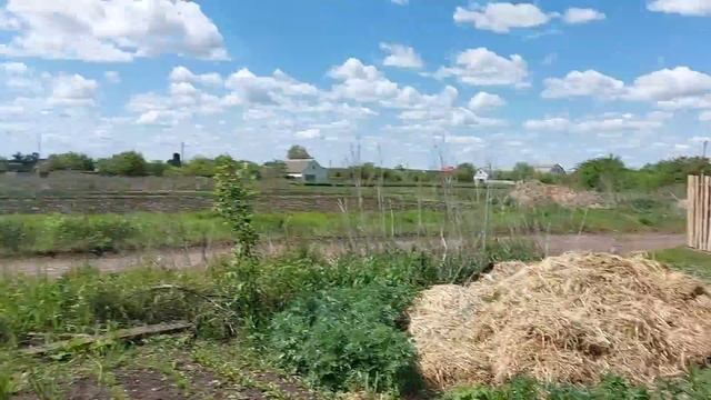 Интересно,сколько их??? смотреть онлайн