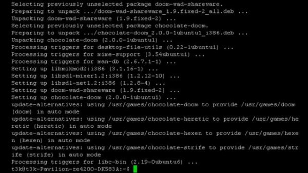 DOOM in the Linux Terminal (+ Install)