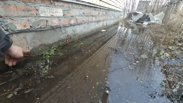 Вода весной под полом..... Что делать? смотреть онлайн