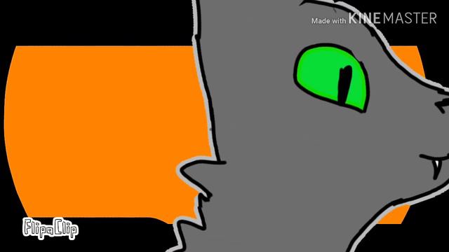 Happy halloween meme Счастливого Хэллоуина flipaclip #меме #meme #кошка #cat смотреть онлайн
