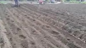 самодельный окучник для картофеля (легко и быстро засыпает грядки)