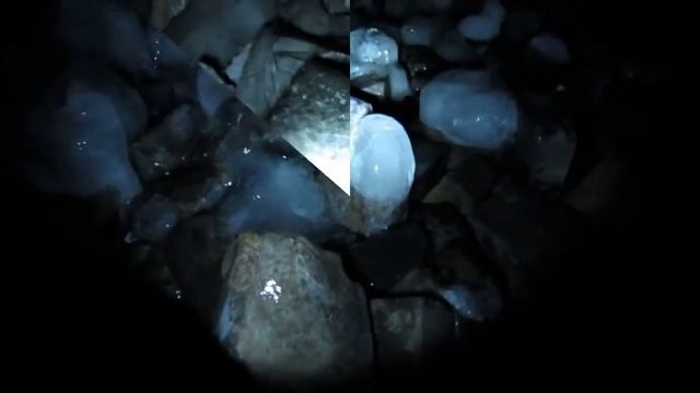 Заброшенный туннель Белград-Нови Сад. Вошли и обомлели! смотреть онлайн