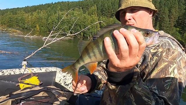 КРУПНЯК ПО ЖЕЛАНИЮ! Оторвались по клеву, Дербина после Богучан. Рыбалка на спиннинг смотреть онлайн