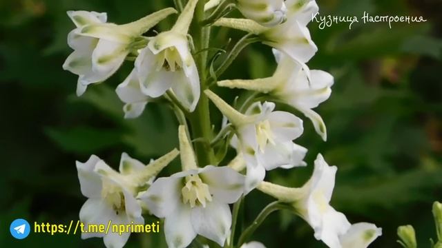 2 августа Ильин День. Что нельзя делать 2 августа. Народные традиции и приметы. смотреть онлайн