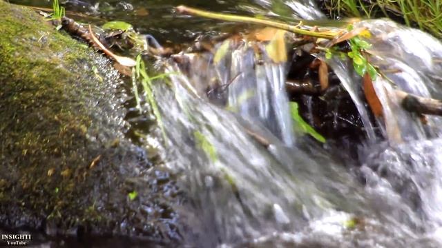 ШУМ ВОДОПАДА - Звуки природы для релаксации - The Sound Of Waterfall For Relaxation // @ratiana