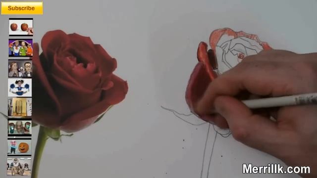 How to Draw a Rose Step by Step Flower Drawing Tutorial смотреть онлайн