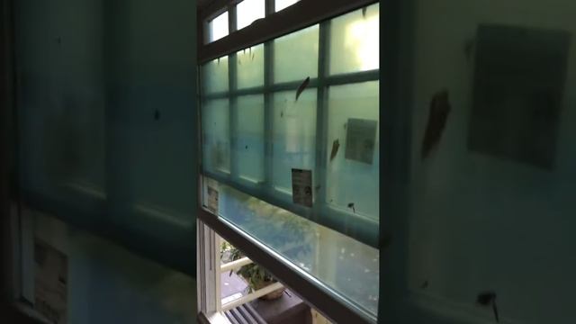 Замена старых окон на новые в США