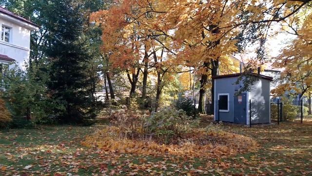 Амалиенау ! Исторический район города !#калининград#кёнигсберг#амалиенау#старыйгород#история смотреть онлайн